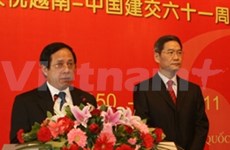 越南驻各国大使馆迎接2011辛卯年春节